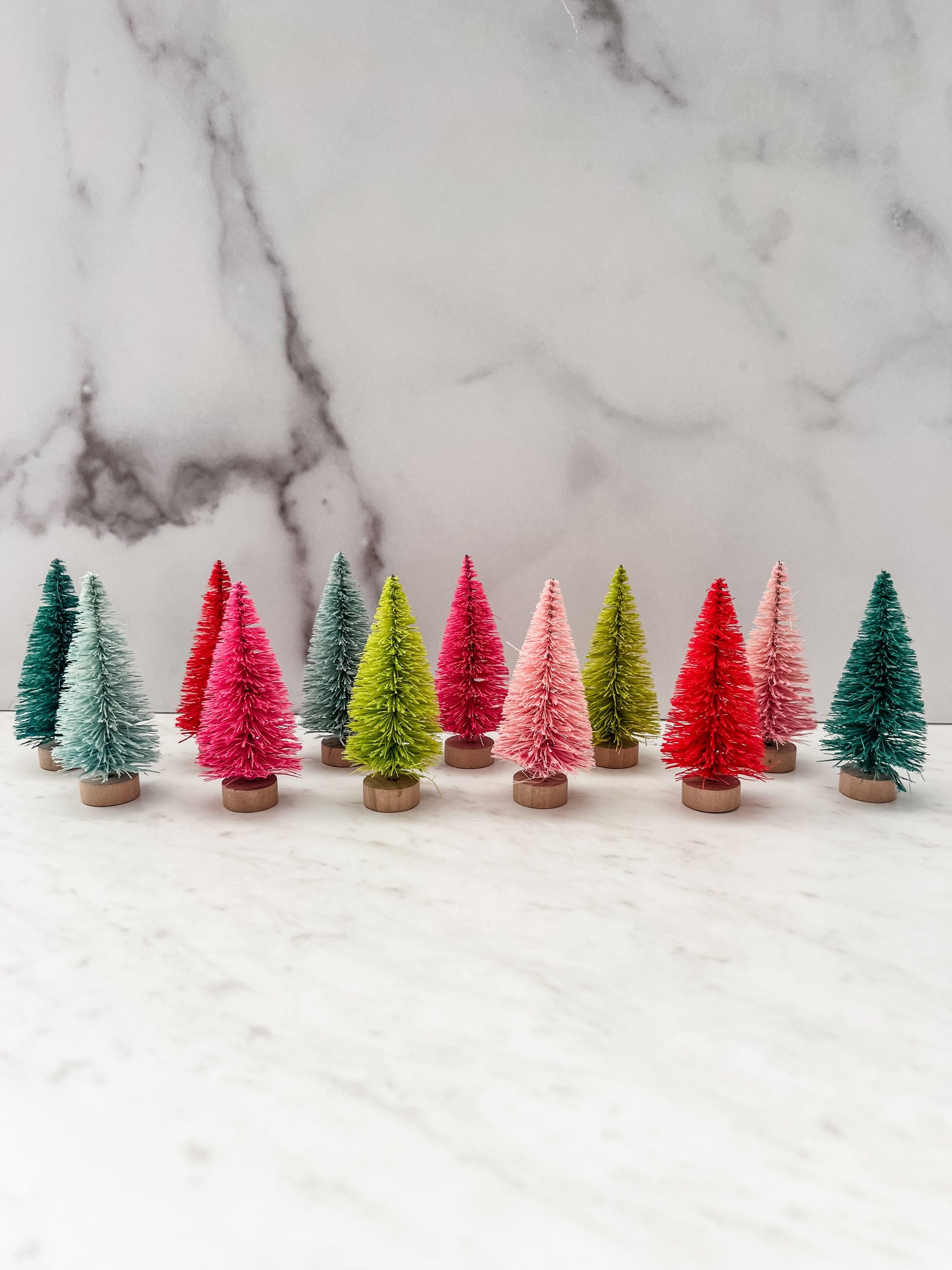 12 colorful bottle brush trees shown lined up