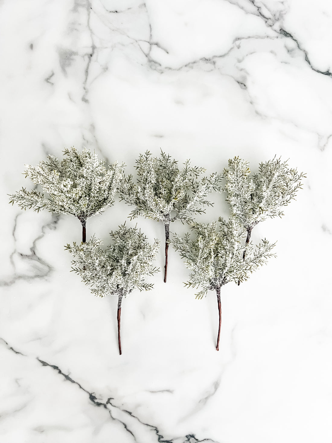 Five frosted greenery branches on a white marbled background