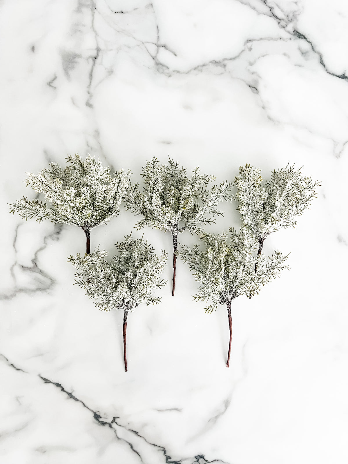 Five frosted greenery branches on a white marbled background
