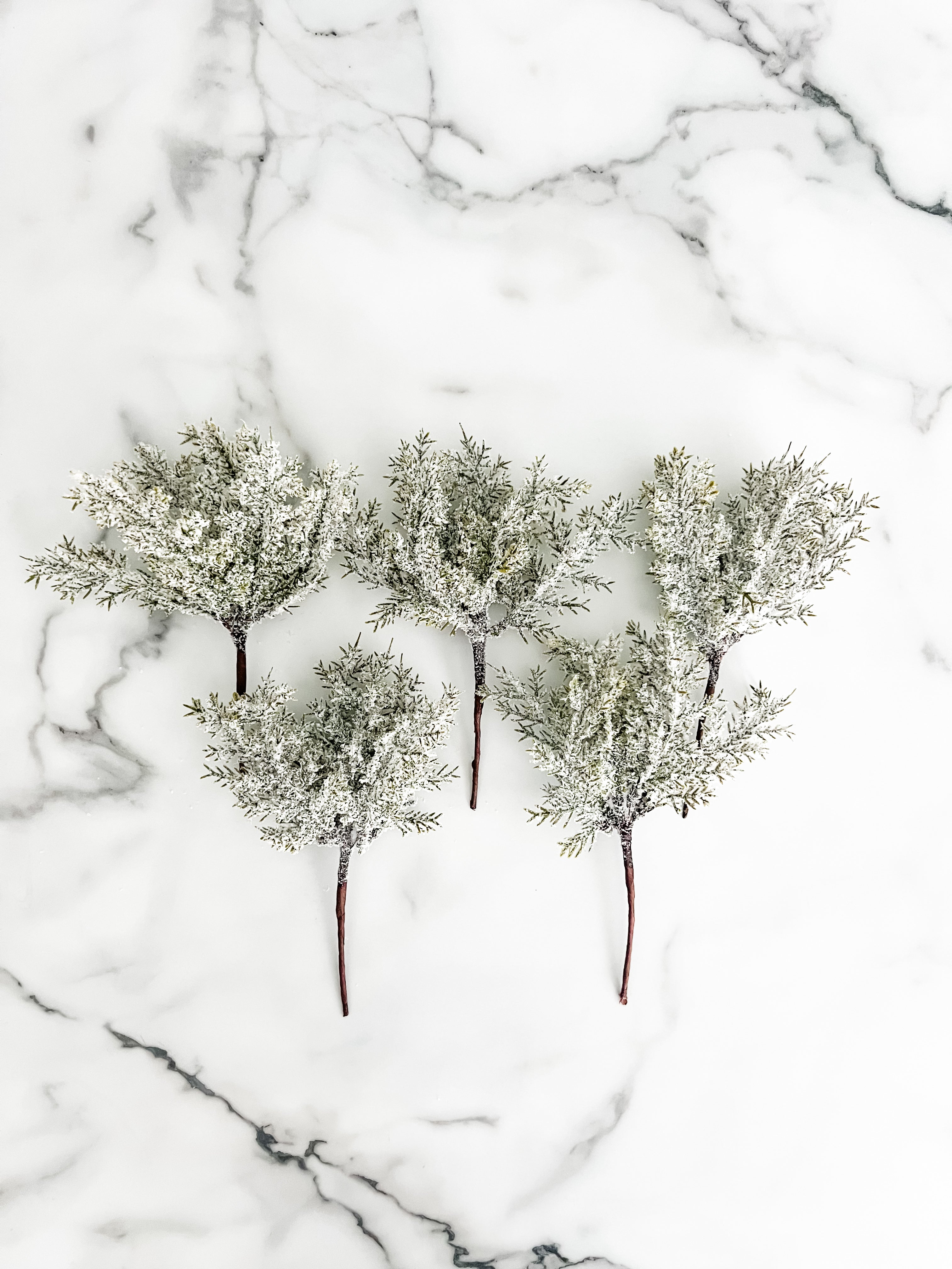 Five frosted greenery branches on a white marbled background