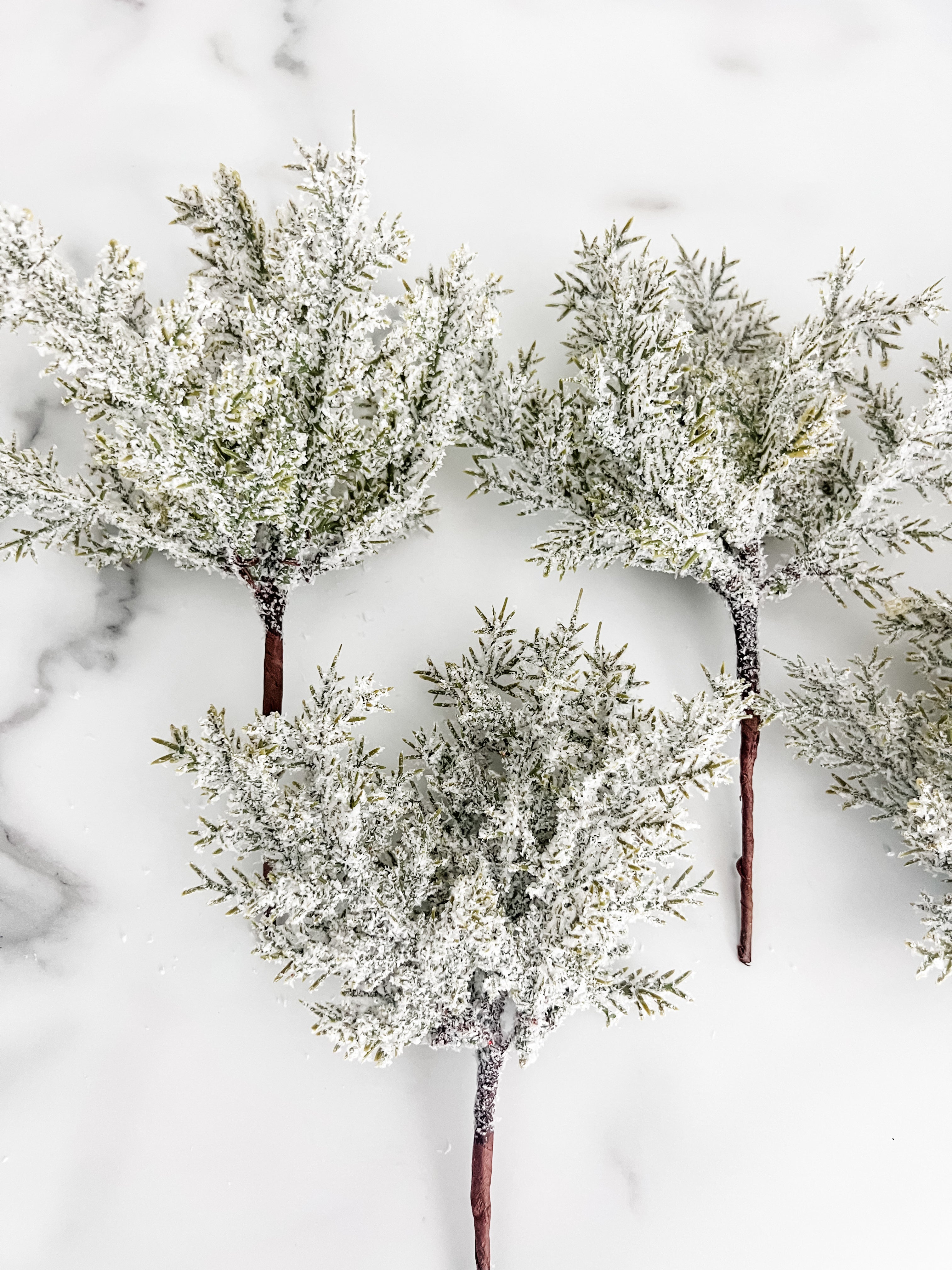 Close up of frosted greenery branches on a white marbled background