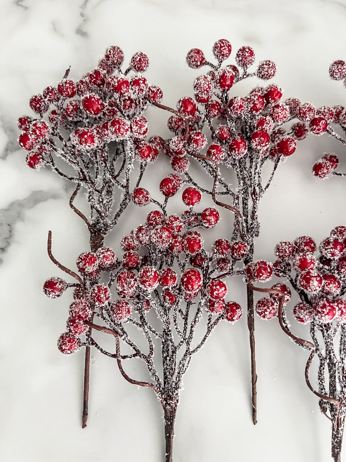 Close up of frosted red berry branches on a white marbled background