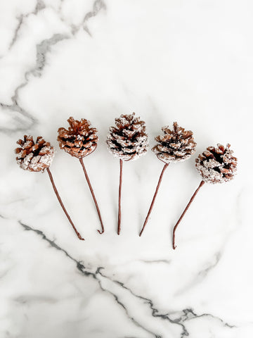 Decorative pine cones on a marble surface