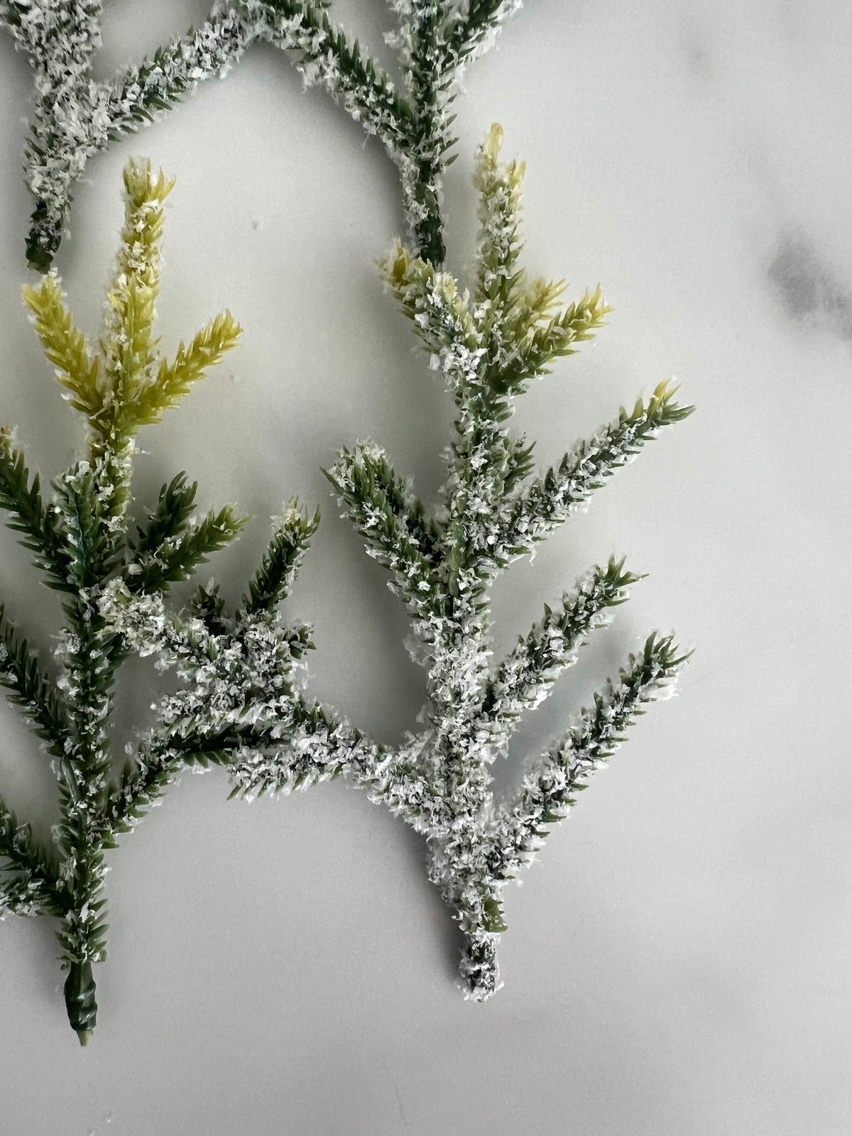 Frosted green pine branches with white snow-like dusting, arranged on a light gray marble surface.
