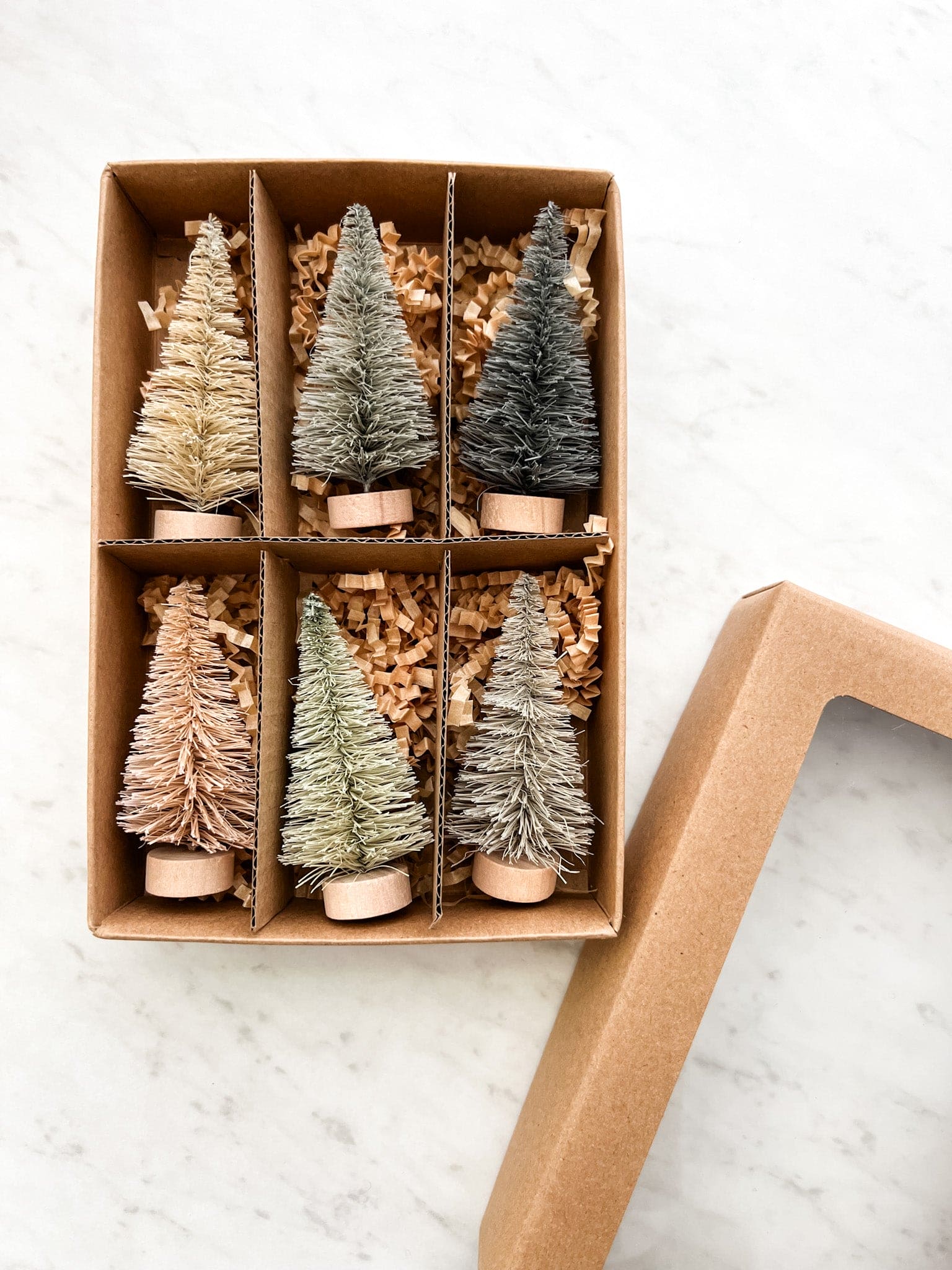 Set of 6 bottle brush trees in a cardboard box, with trees being different colors.